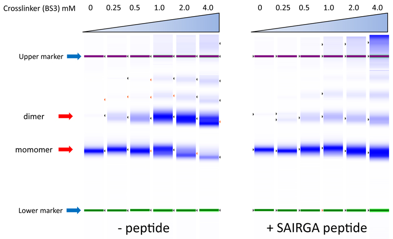 Extended data figure 5