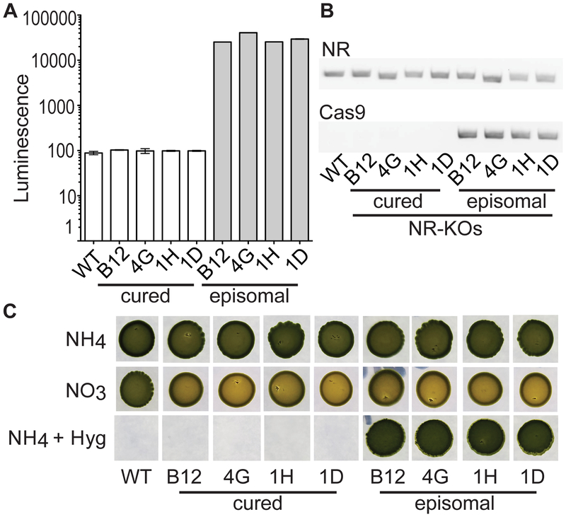 Figure 3.