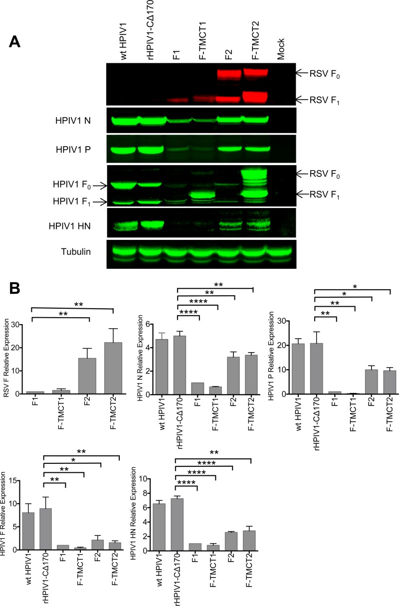 FIG 3