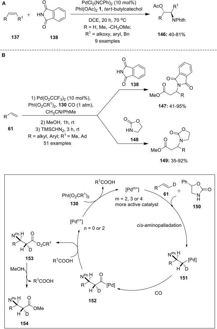 Scheme 18