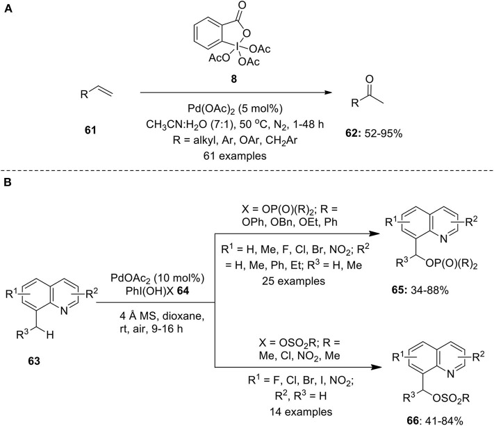 Scheme 7