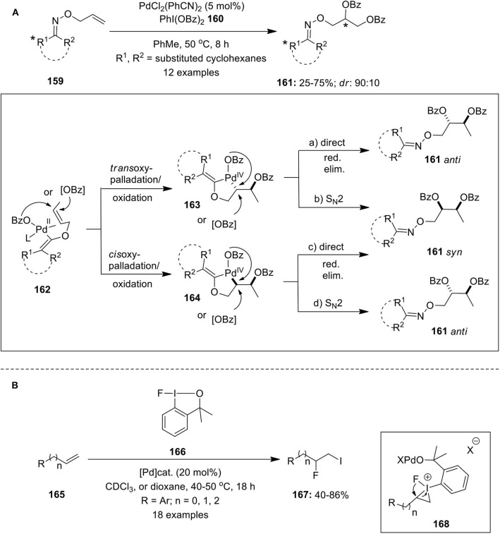 Scheme 20