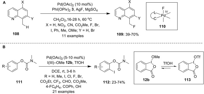 Scheme 13