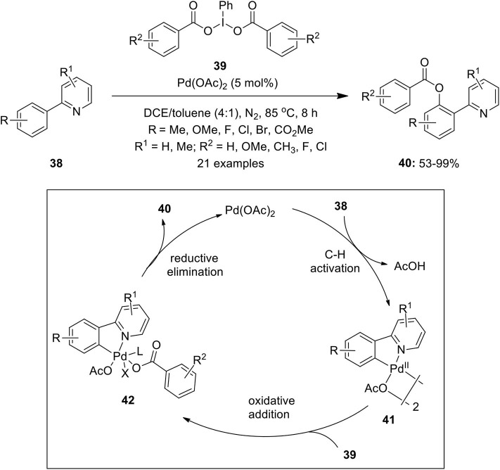 Scheme 3