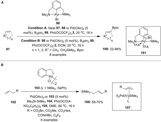 Scheme 12