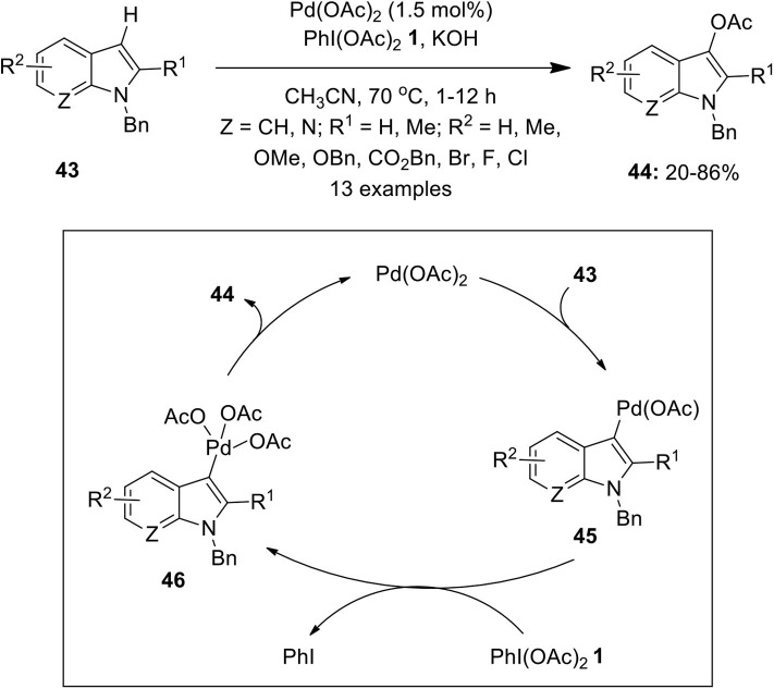 Scheme 4