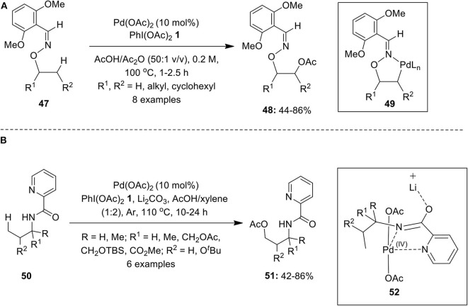 Scheme 5