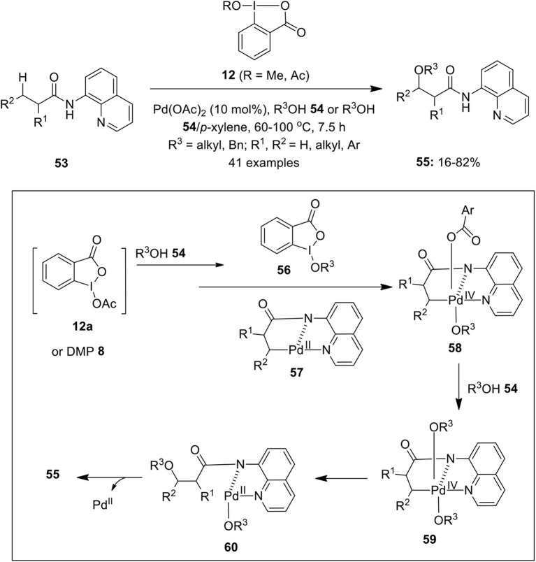 Scheme 6