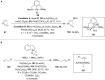 Scheme 12