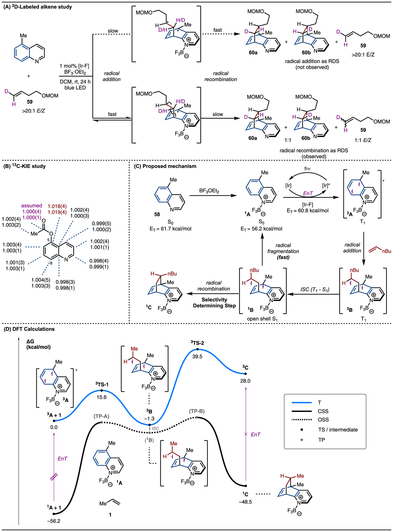 Scheme 6.