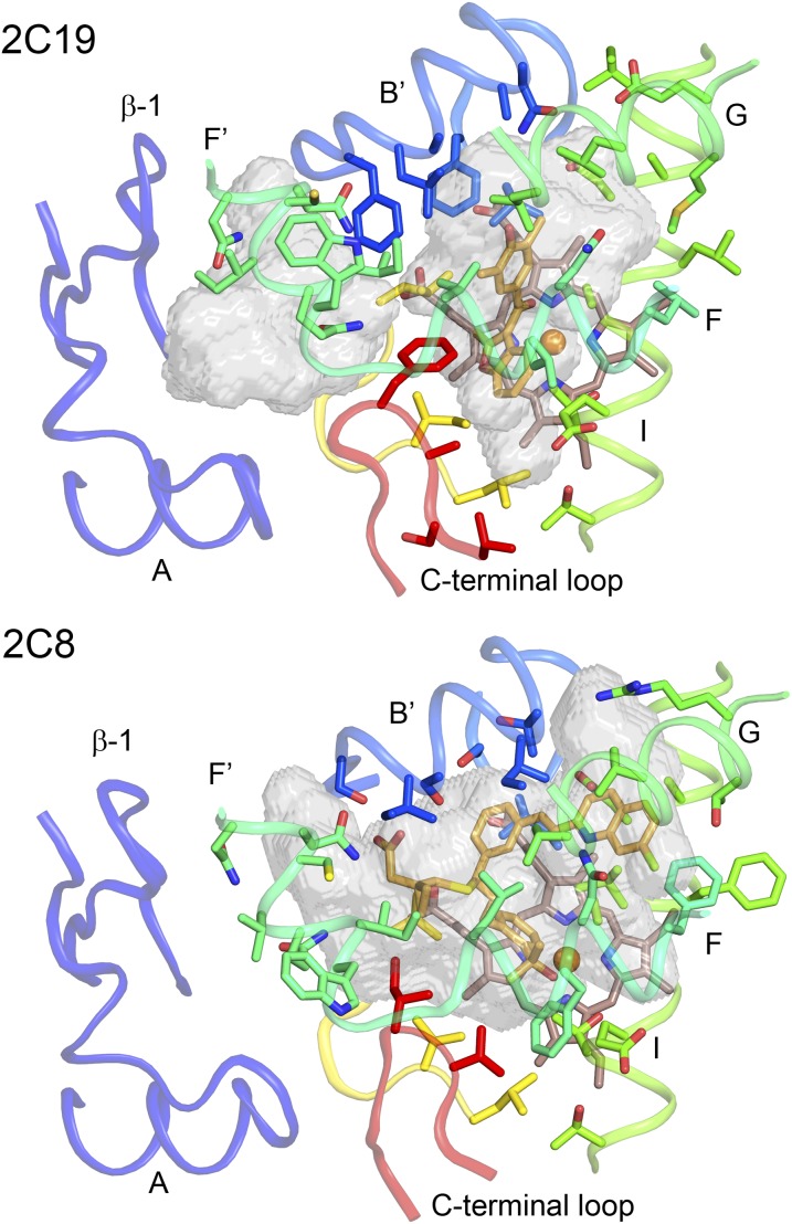 Fig. 4.