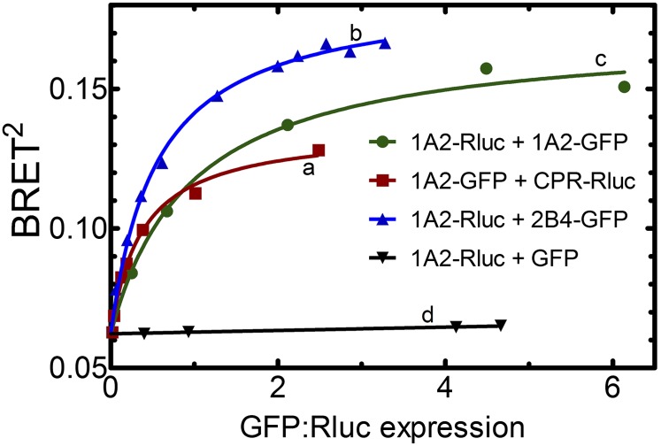 Fig. 11.