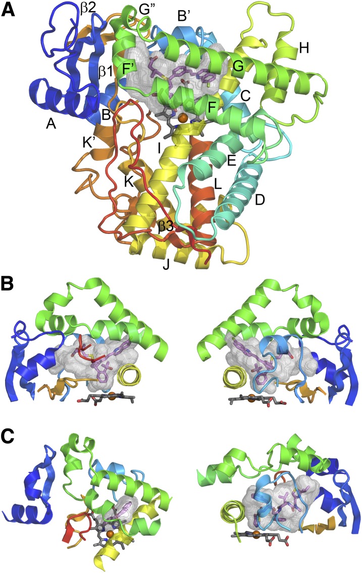 Fig. 3.