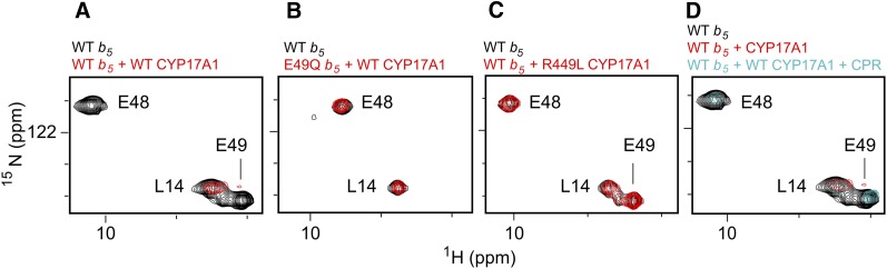 Fig. 12.