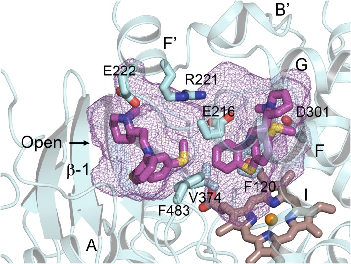 Fig. 6.