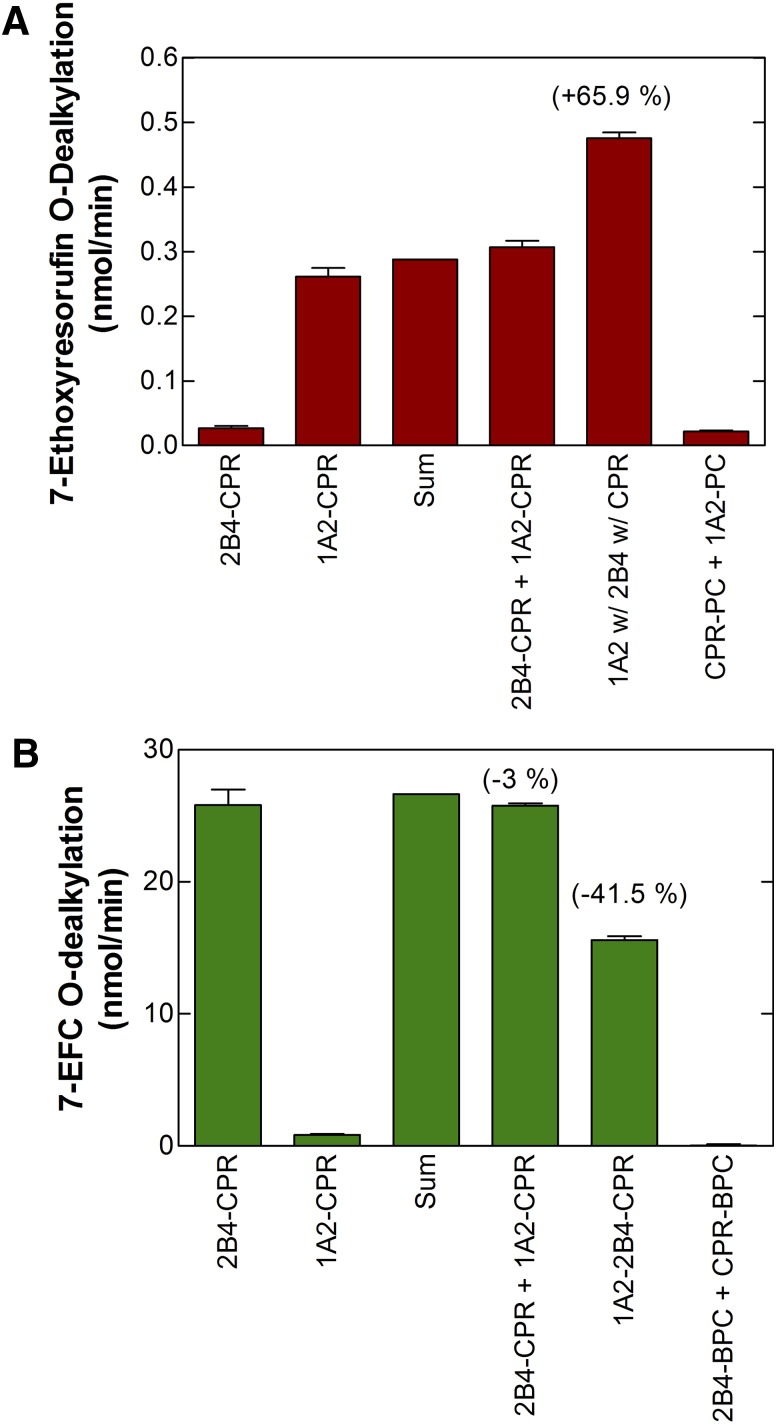 Fig. 8.