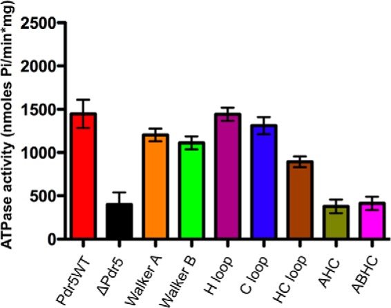 FIGURE 4.