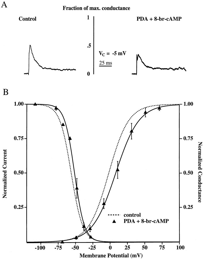 Fig. 5.