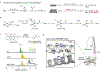Figure 1|