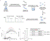Extended Data Fig. 7|