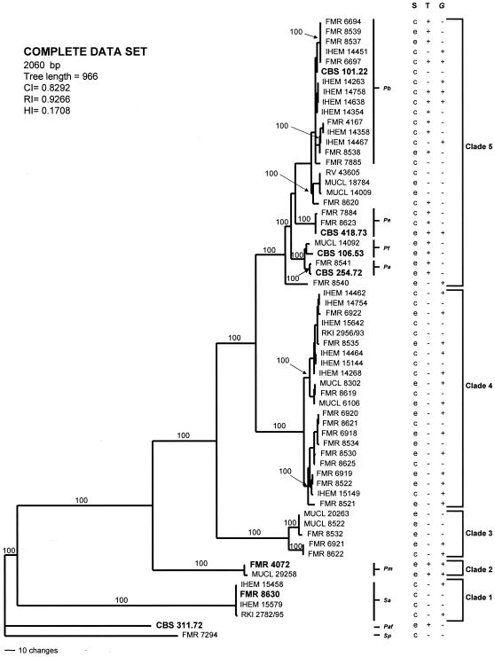 FIG. 5.