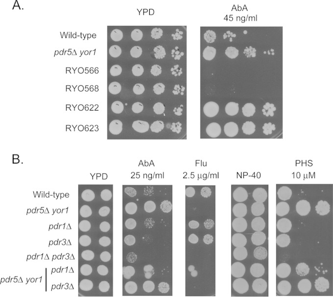 FIG 2