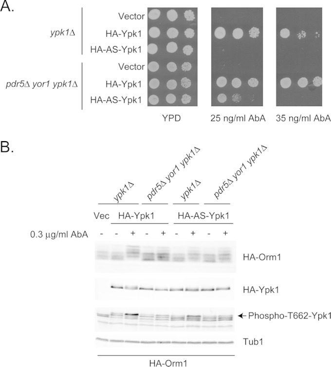 FIG 3