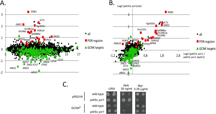 FIG 6