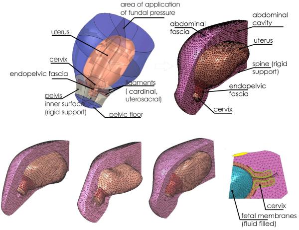 Fig.3