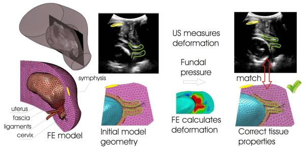 Fig. 5