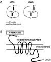 <b>Figure 2.</b>