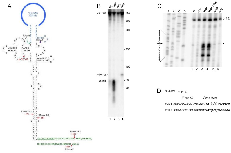 Figure 7.