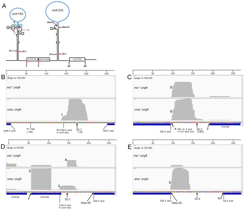 Figure 6.