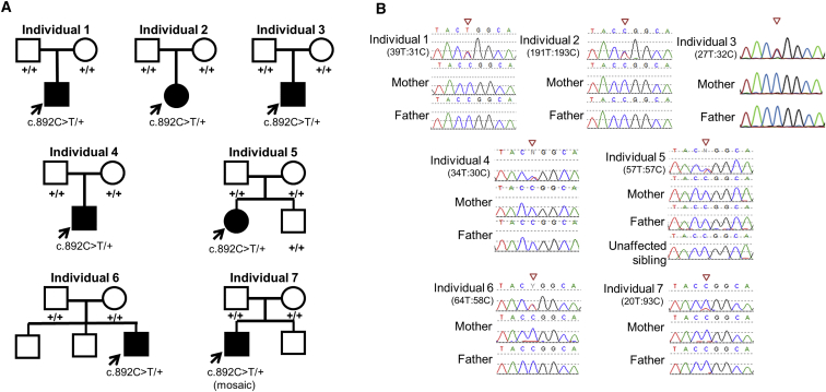 Figure 2