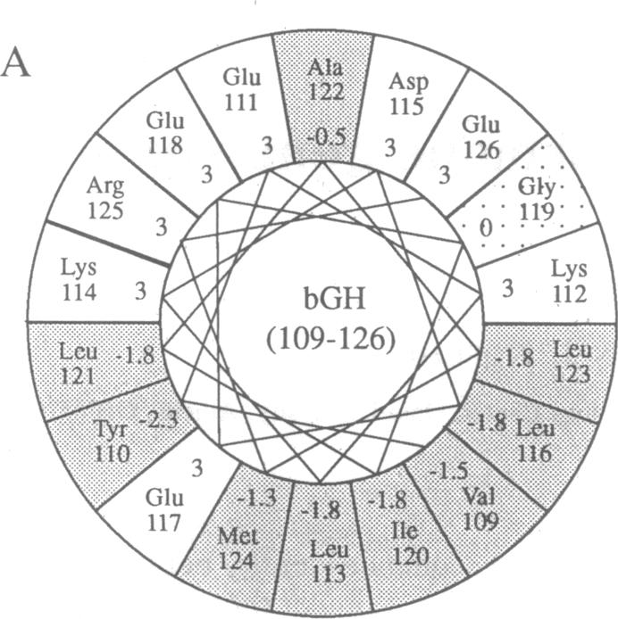 graphic file with name pnas01038-0177-a.jpg