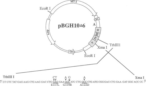 graphic file with name pnas01038-0177-c.jpg