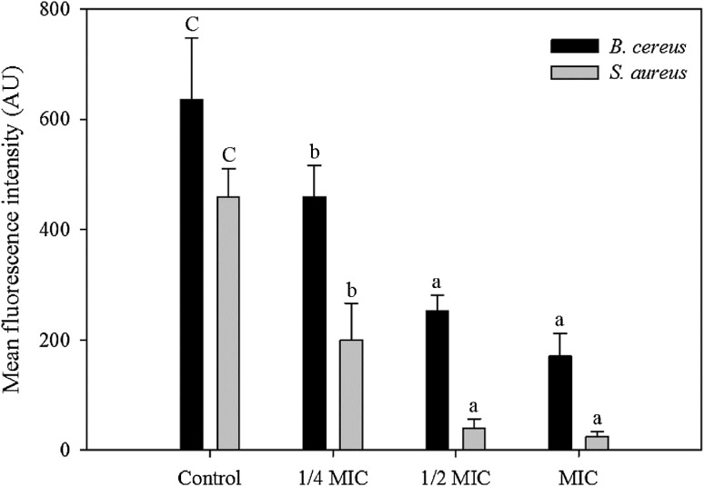 Fig. 3