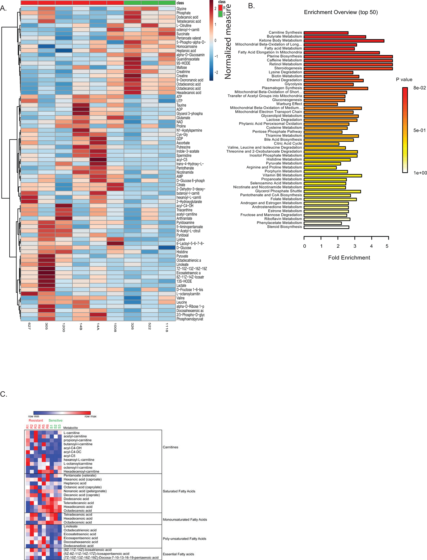 Extended Data Figure 1: