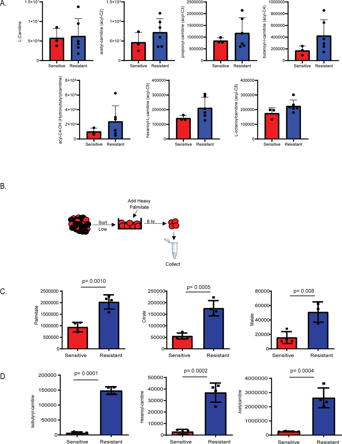 Figure 2: