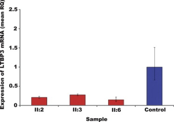 Figure 3