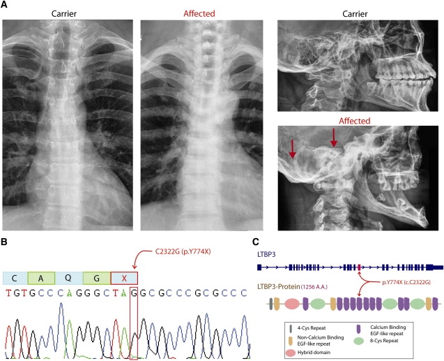 Figure 2