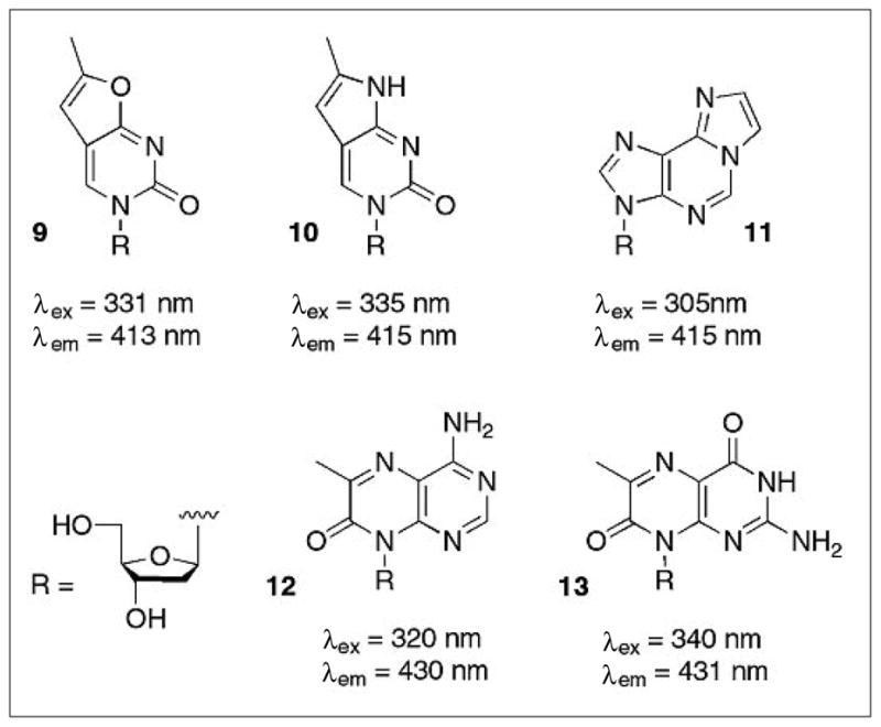 Fig. 5