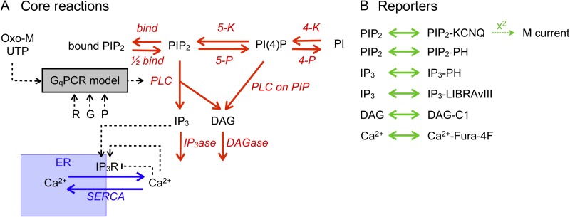 Figure 5.