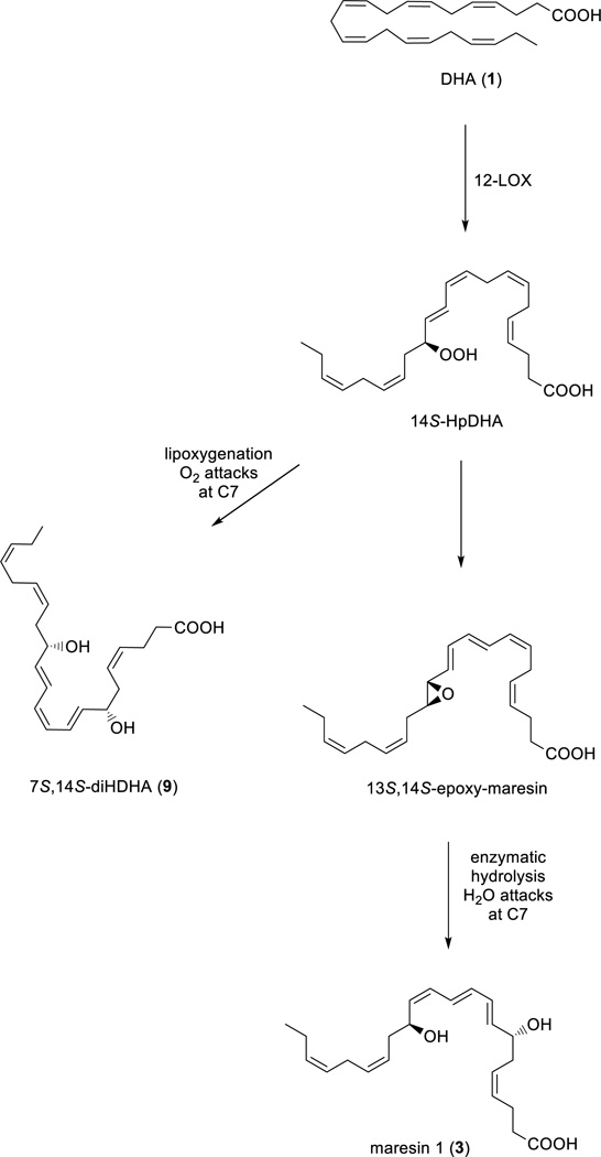 Scheme 2