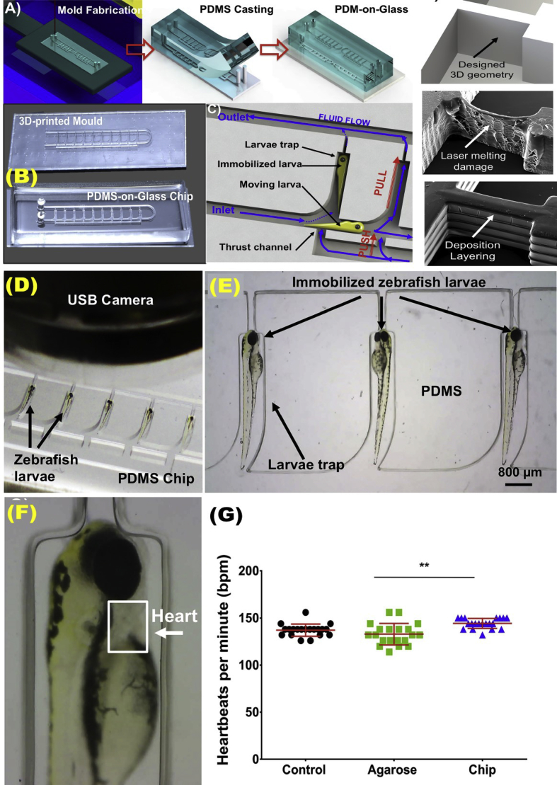 Fig. 6