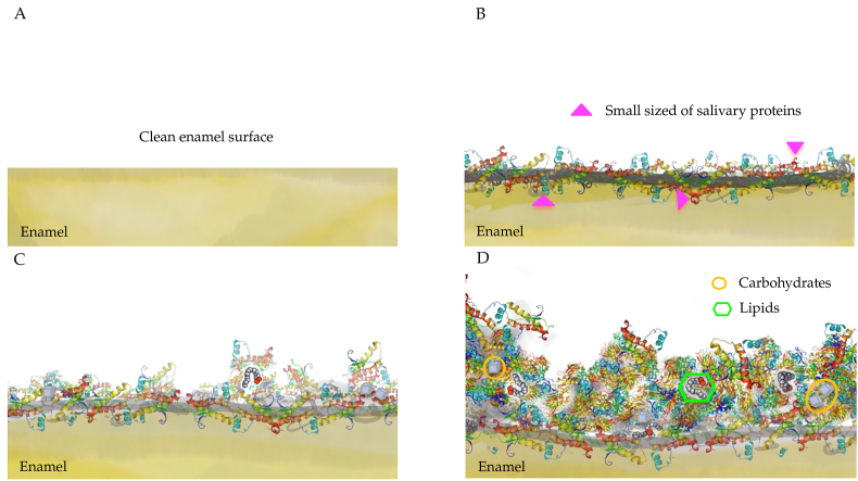 Figure 1