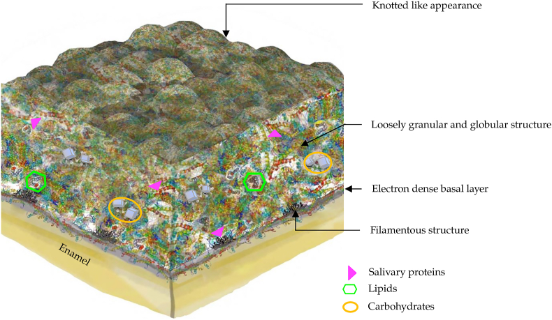 Figure 2