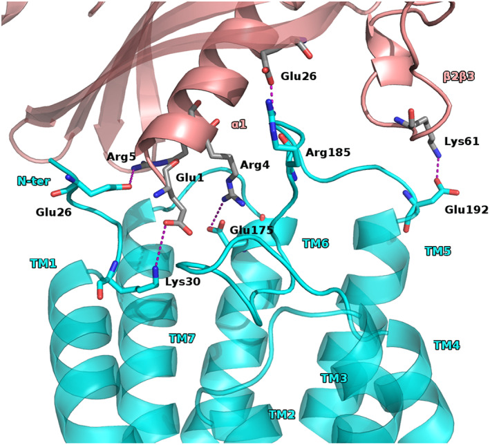 FIGURE 3