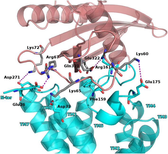 FIGURE 4