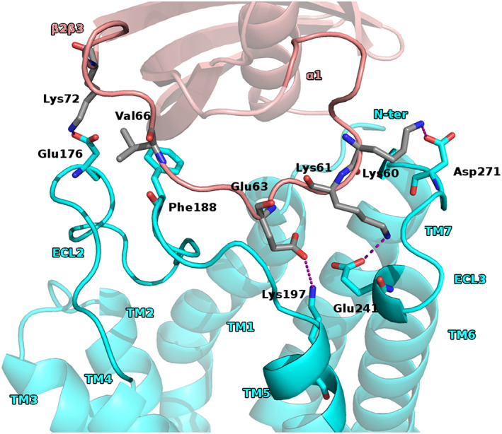 FIGURE 2